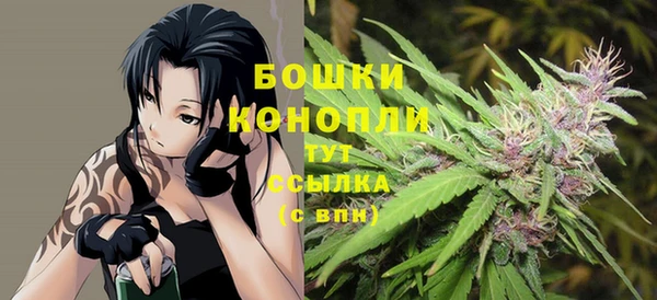 Альфа ПВП Нягань
