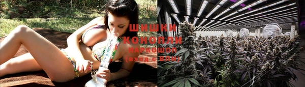 гидропоника Сатка