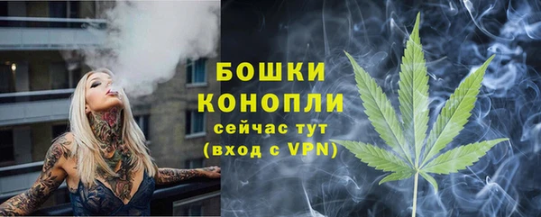 Альфа ПВП Нягань